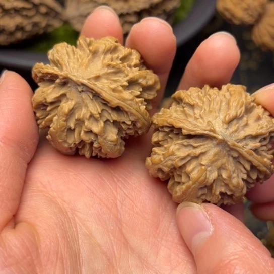 文玩核桃把件秦岭核桃16