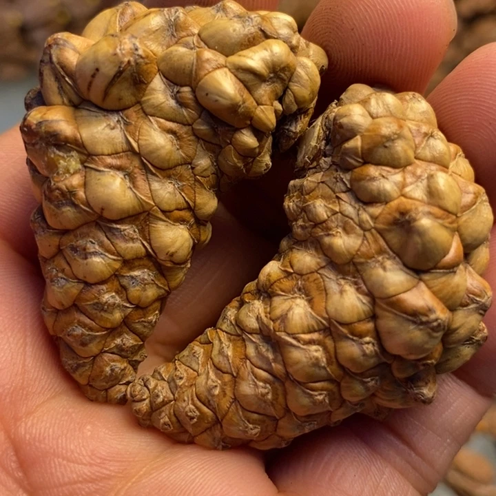 香榧木拿姐工艺22