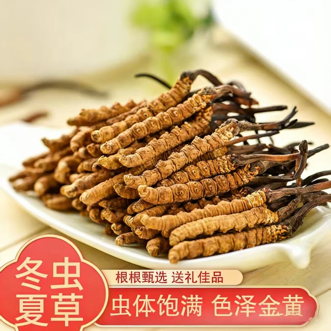 【永乐行】西藏冬虫夏草条      约0.3克/条