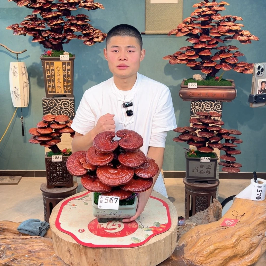 无花朵8888888888888