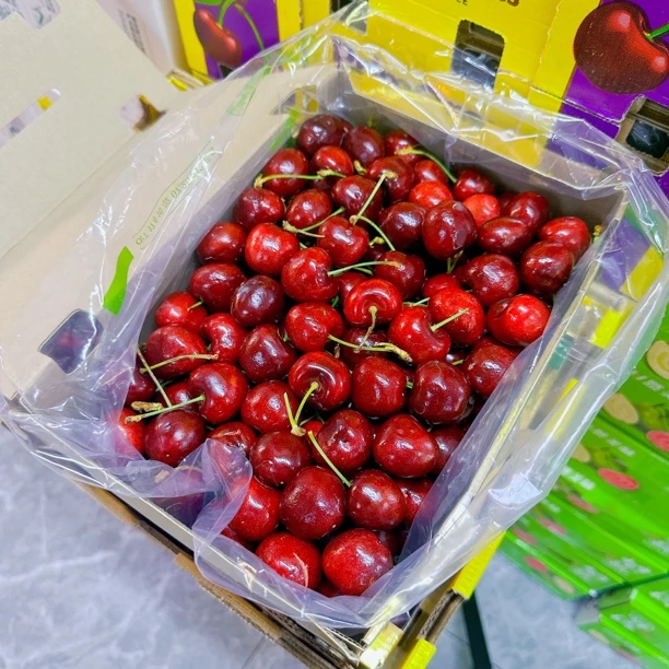 智利车厘子桑提那3J，5斤，海运，整箱水果个别有坏粒没有售后，介意勿拍智利