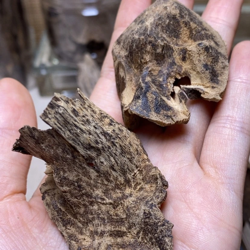 【闪购商品】海南壳子5.5克