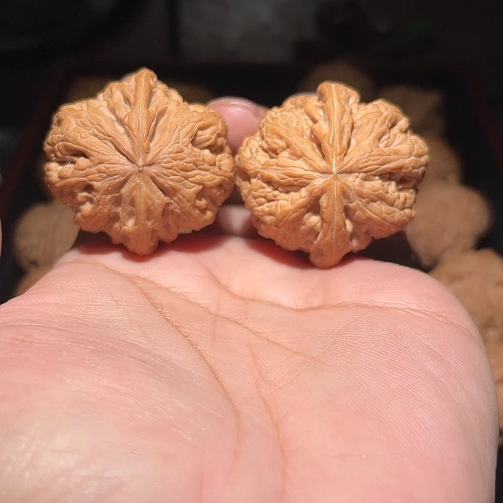 木41精致全粗筋。