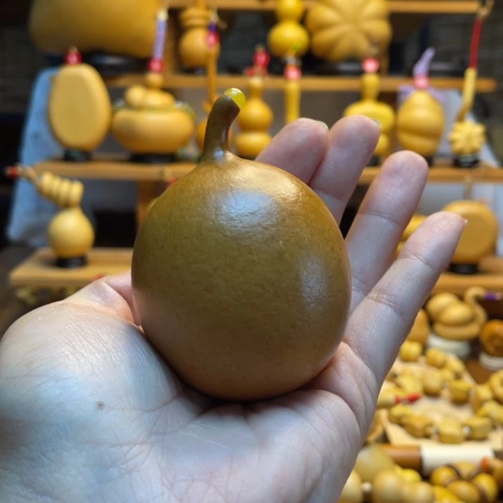 龙***主天然葫芦自然生长