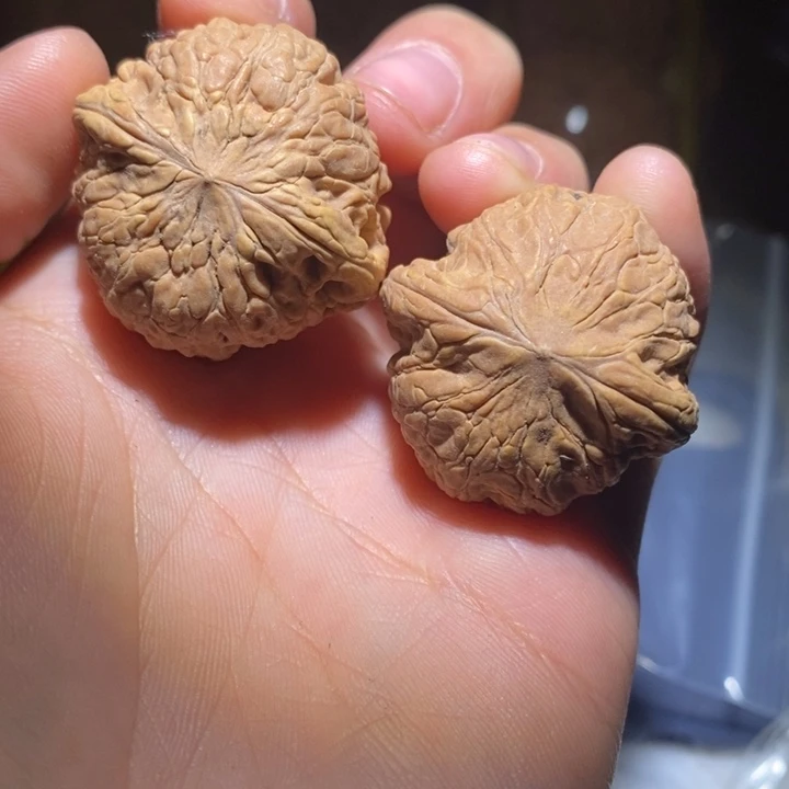 ****梦吊坠文玩核桃你要好好学习哈
