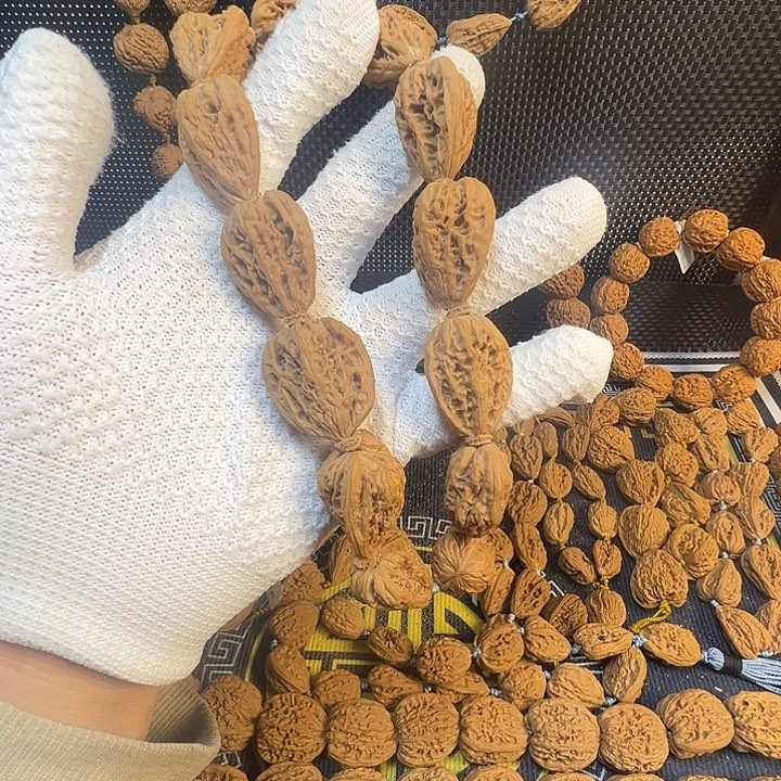 星***期瓜子姐姐姐姐姐姐了