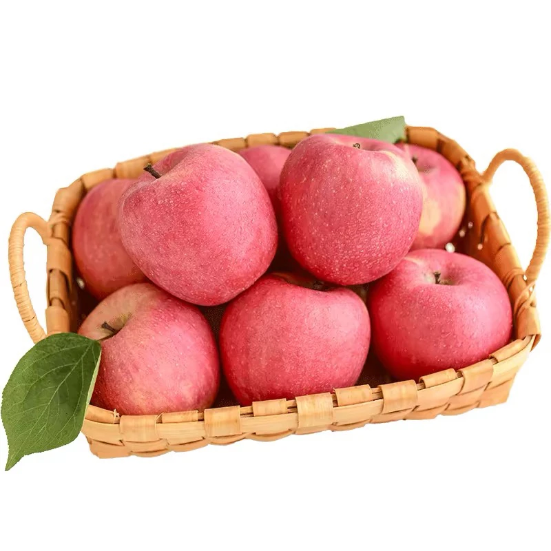 【整果】烟台富士苹果｜500g（约2个）