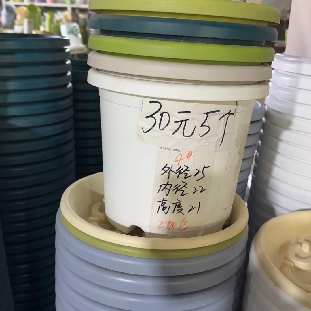 四季4#口径25无拖果绿8个