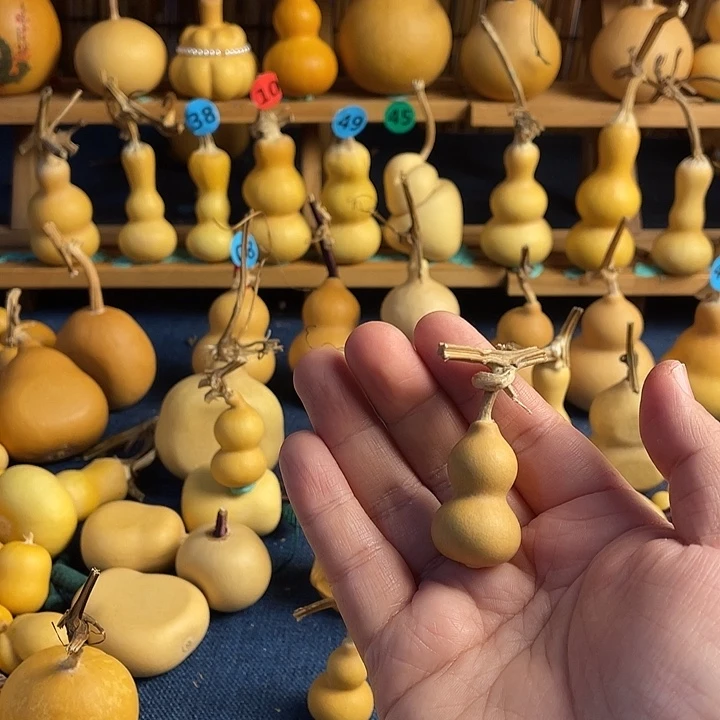 凹***凸11111111111111111