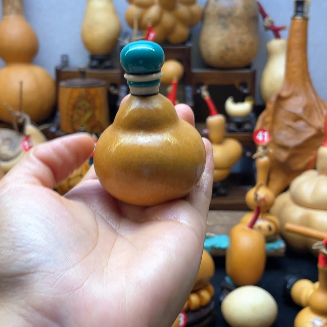 Z****e大自然的秘密第十一节的