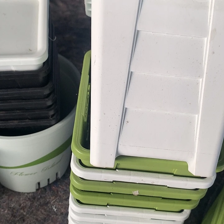 16口奶白无托6个瑕疵