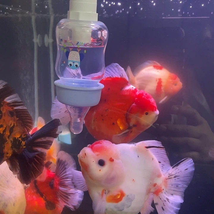 安排一个吧哈哈哈