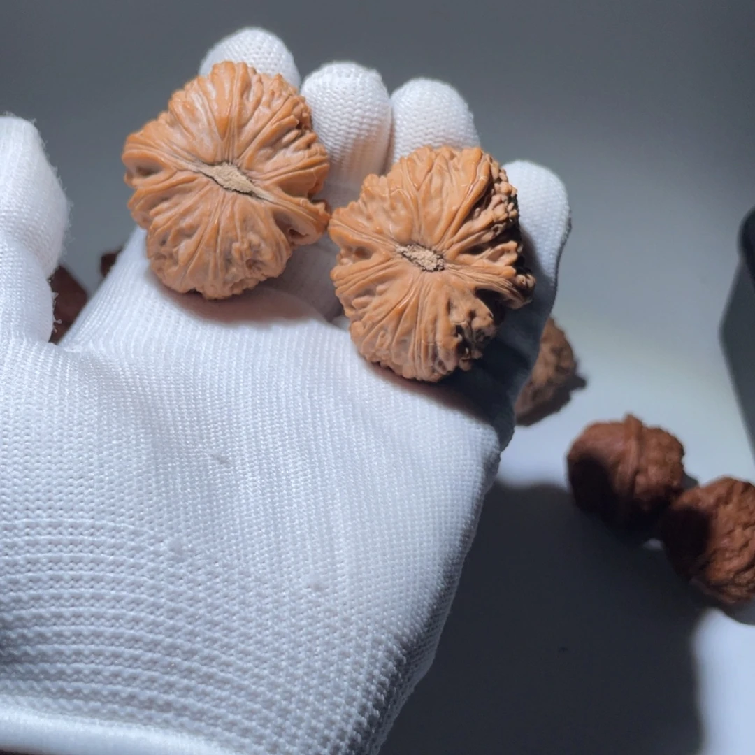 吊坠文玩核桃30号39白狮