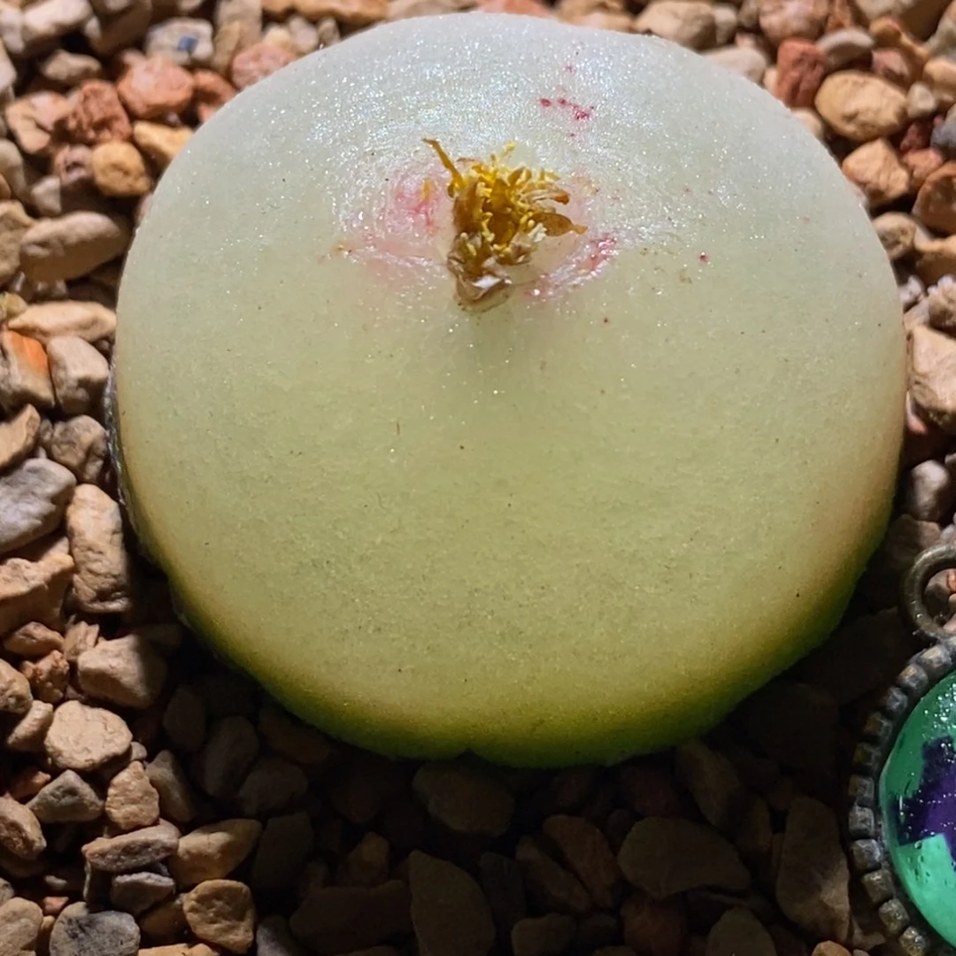 大大大大灯泡大大大灯泡