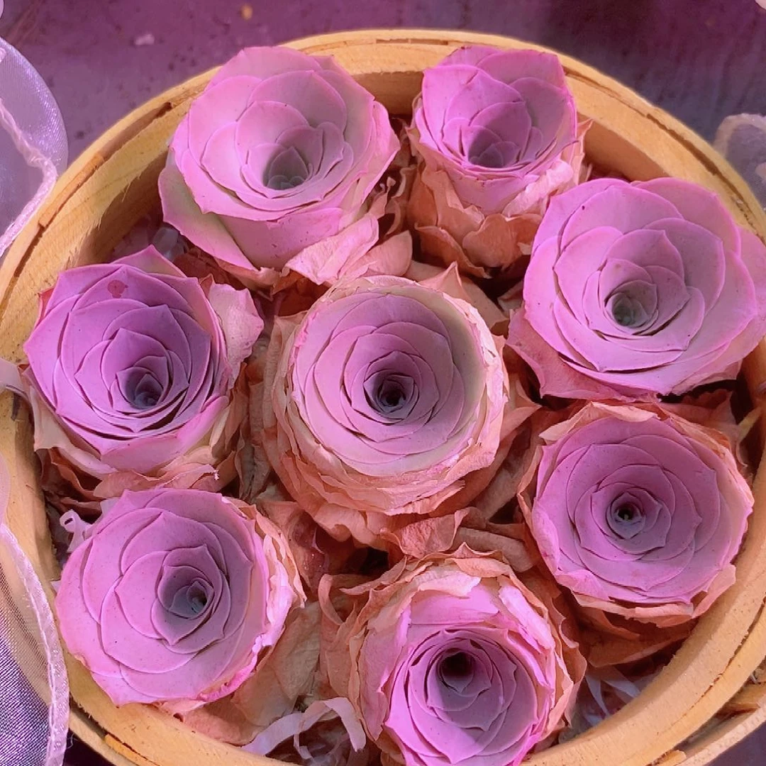 绮梦晨光花篮一物一拍003