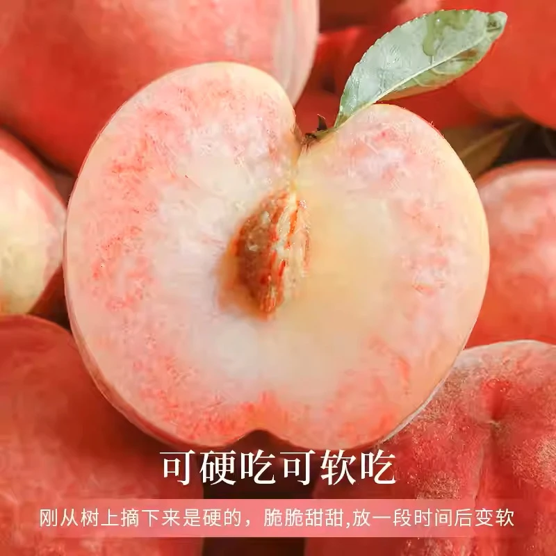 【顺丰/京东-送货上门】山东蒙阴突围水蜜桃应季大桃子新鲜水果脆甜