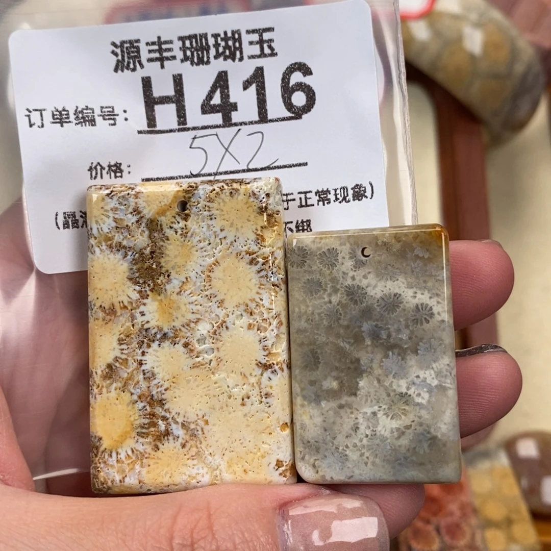 硅化玉颈饰未镶嵌n***1