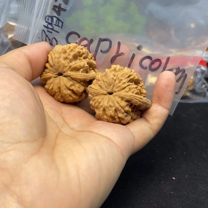 文玩核桃把件C****n官帽