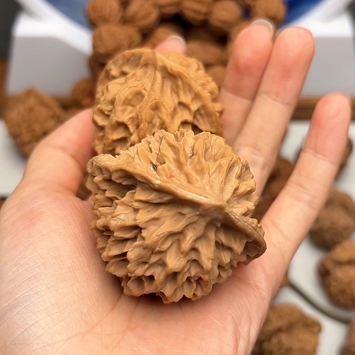 明*台秦岭山脉的形成过程2