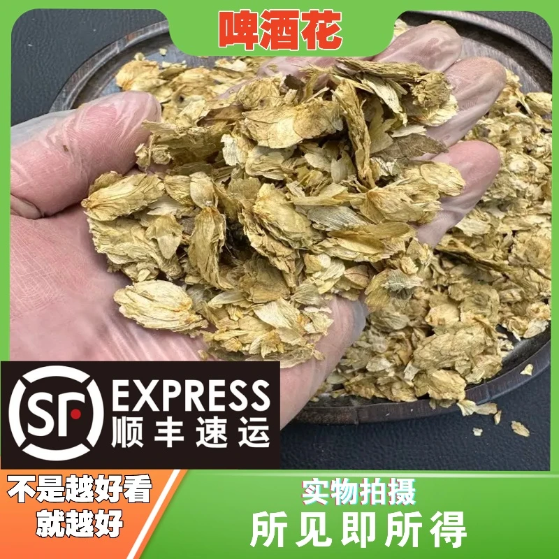 啤酒花成都中药材批发别名：酒花、蛇麻花、忽布、酵母花