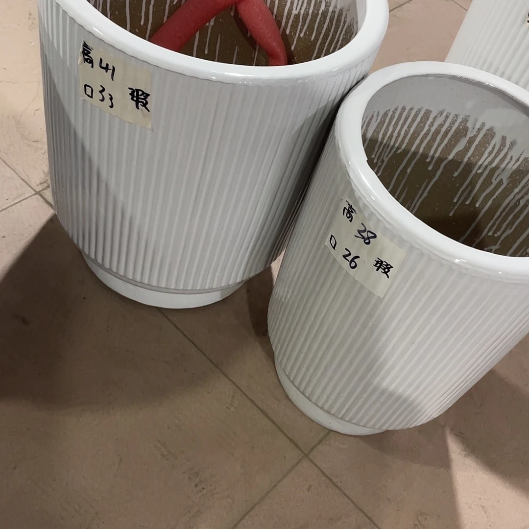 白竖纹二大二中搭配托盘微瑕