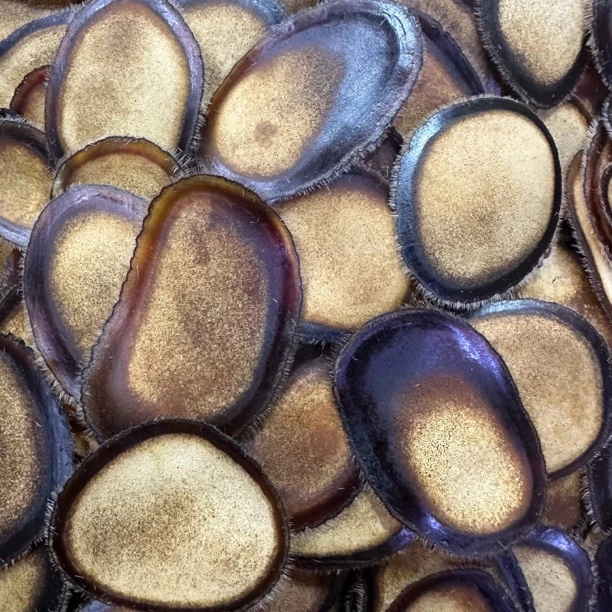 鹿茸半腊片头茬含血茸主干切片长白山直发可泡水煲汤营养滋补