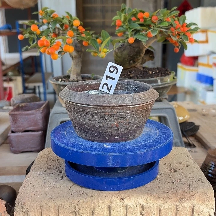 9.8x5////////////219/////