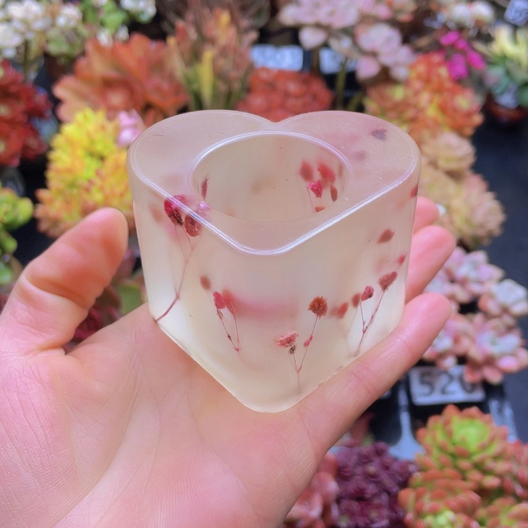 花钱花钱花钱花钱花钱
