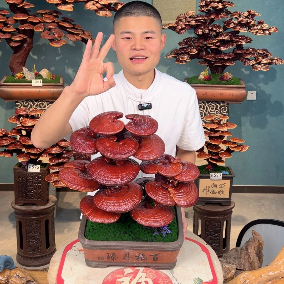 无花朵88888888888