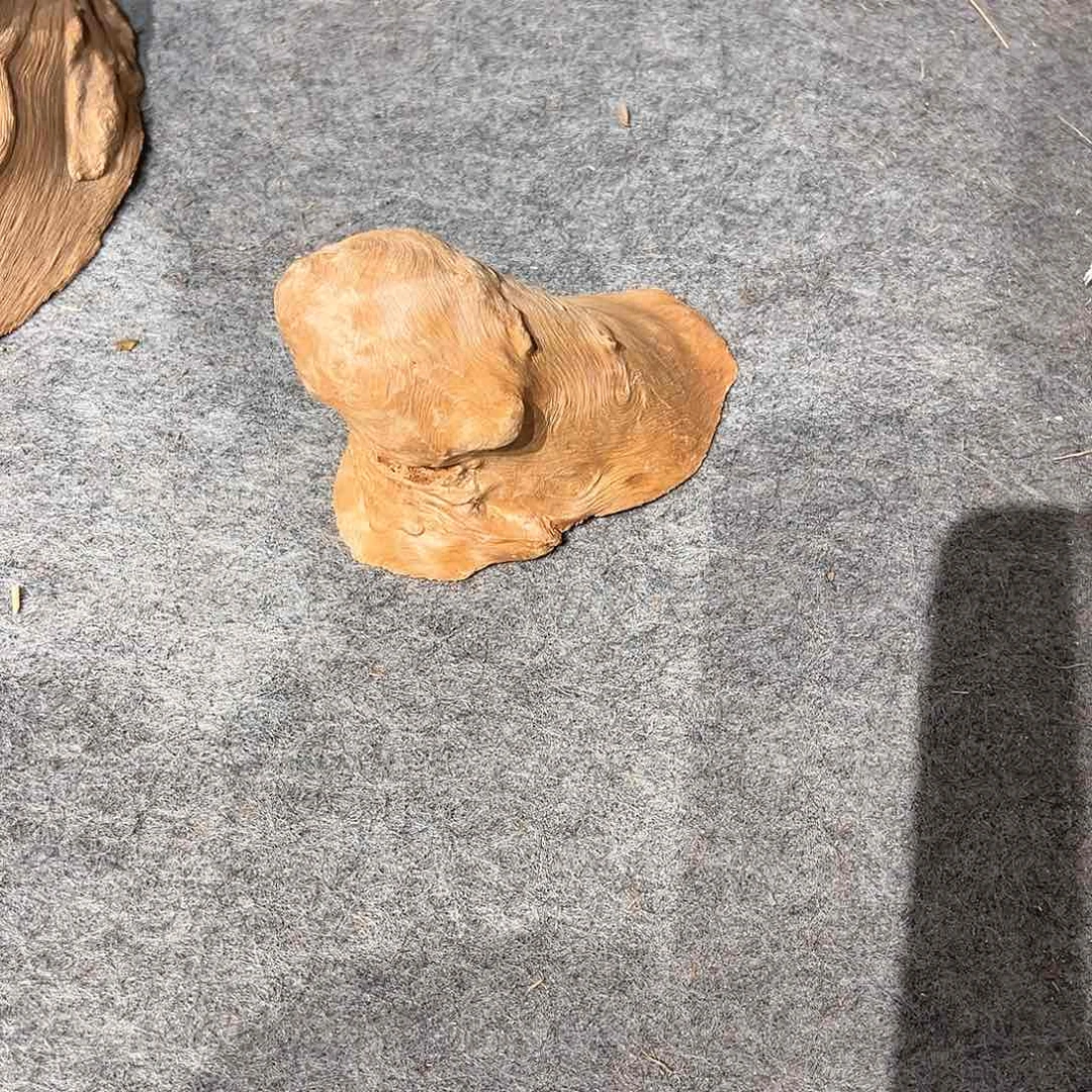 荔枝木路*荔枝木毛料