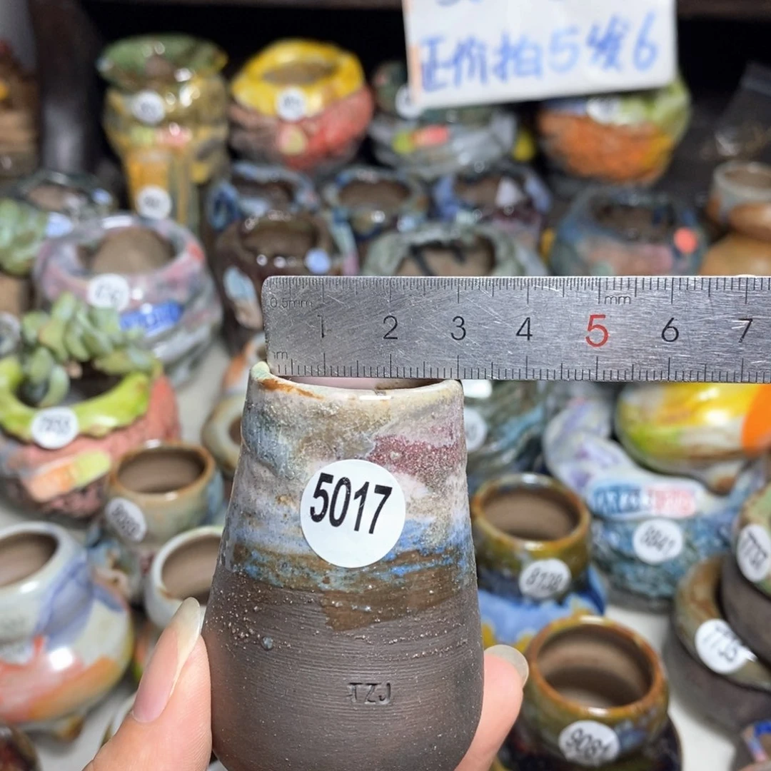 拍5送一个小礼物