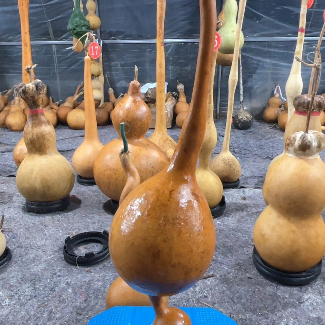 M***齊大叶紫檀(黑酸枝木类)