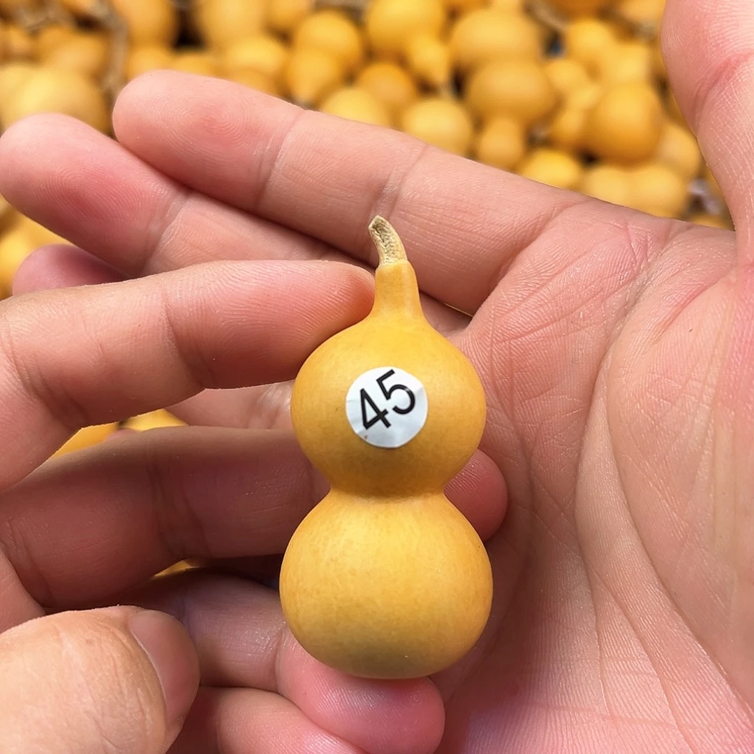 四葫芦葫芦葫芦葫芦45