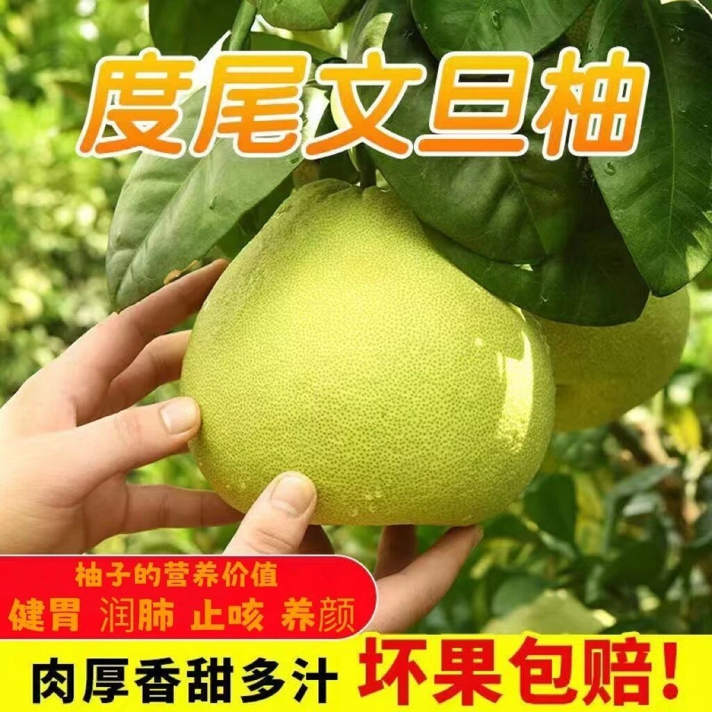 福建仙游度尾红心文旦柚新鲜应季水果酸甜多汁孕妇爱吃