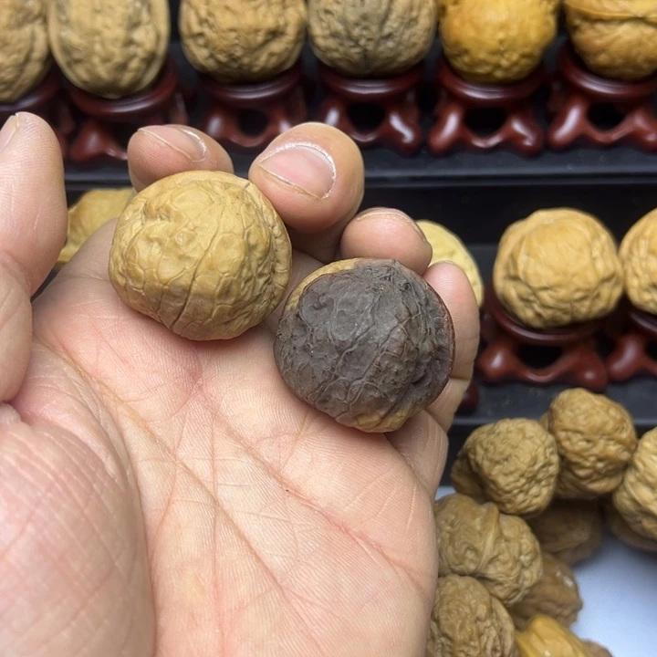 核桃云南铁核桃帝王蟾11