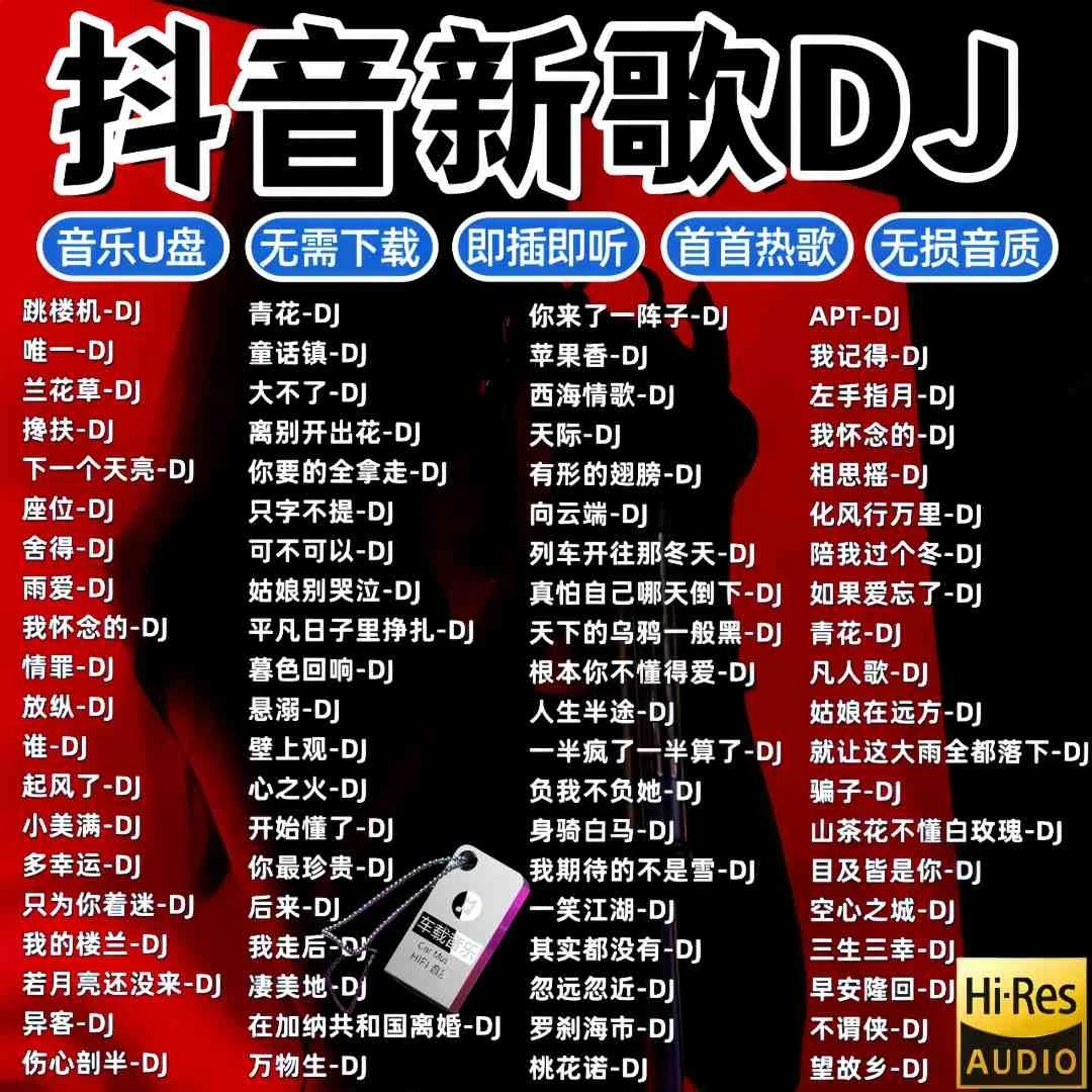 2025新款劲爆dj歌曲车载u盘炸街重低音dj嗨曲无损高品质usb车用