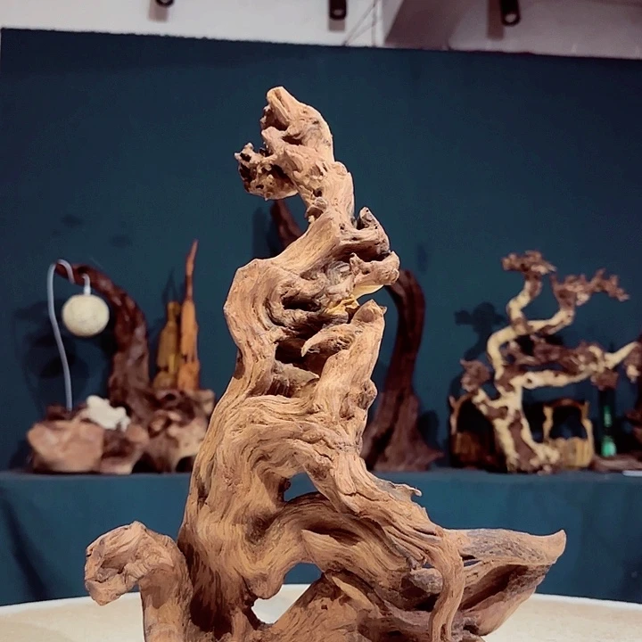 一***佛木635 金丝红木羊蹄甲半成品