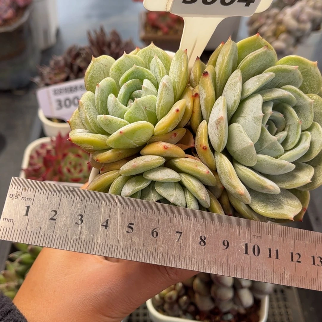 3004 满30包邮天冷地区必拍保温箱