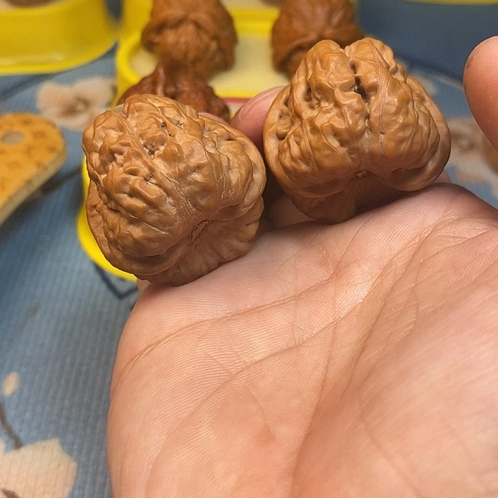核桃手串/手链蛤蟆头36尺寸