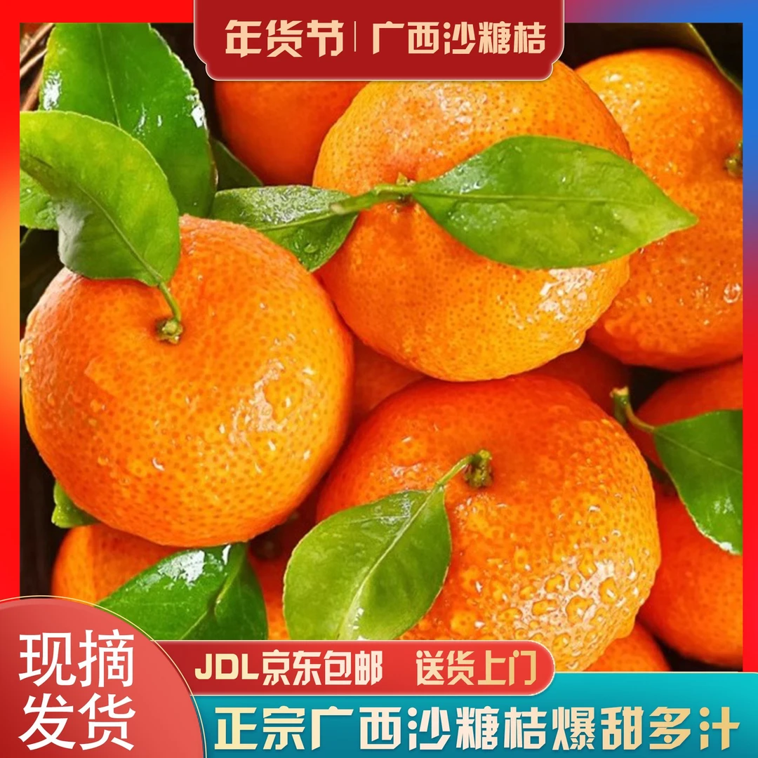 【火锅一姐推荐广西沙糖桔】正宗爆甜沙糖桔粉丝福利