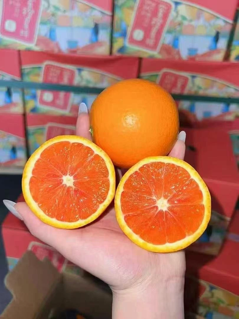 干货。。。。。。。。。。。橙