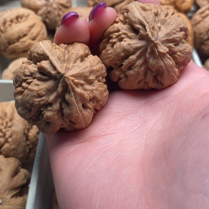 唐***爸文玩核桃吊坠霸王龙