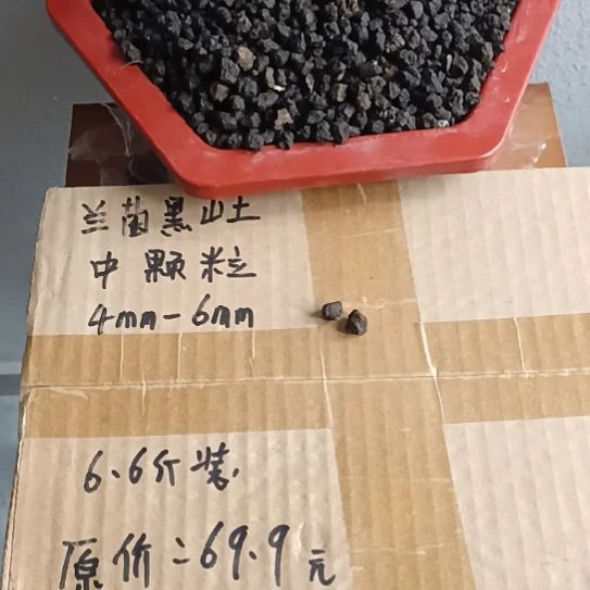 土***啡兰菌黑山土中颗粒6.6斤