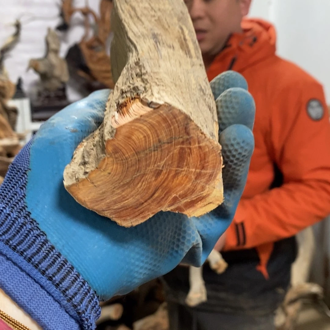 柏木南****8我们都是好孩子