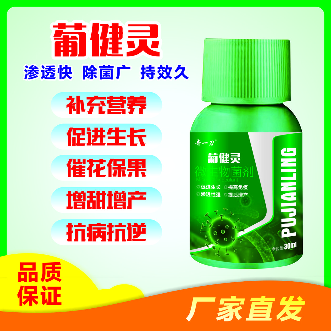 葡萄真细抗病修复生长补充营养增产微生物菌肥提高抗病恢复