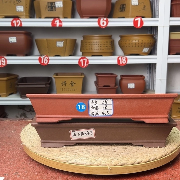 紫砂花盆蛇年大吉