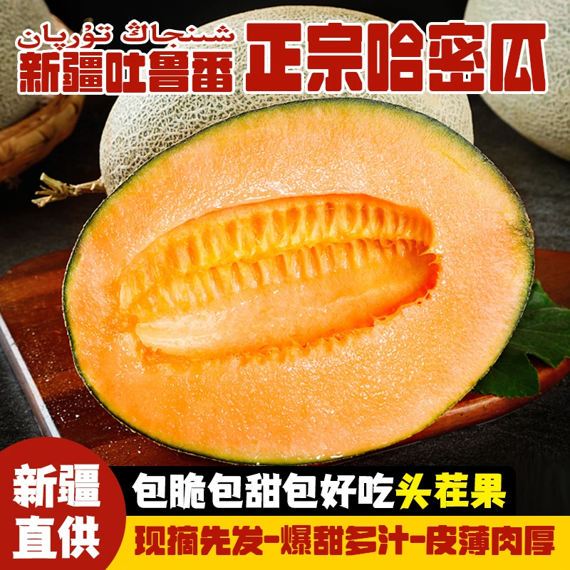 【新疆直发】正宗新疆吐鲁番冰火蜜瓜西州蜜25号哈密瓜现摘现发