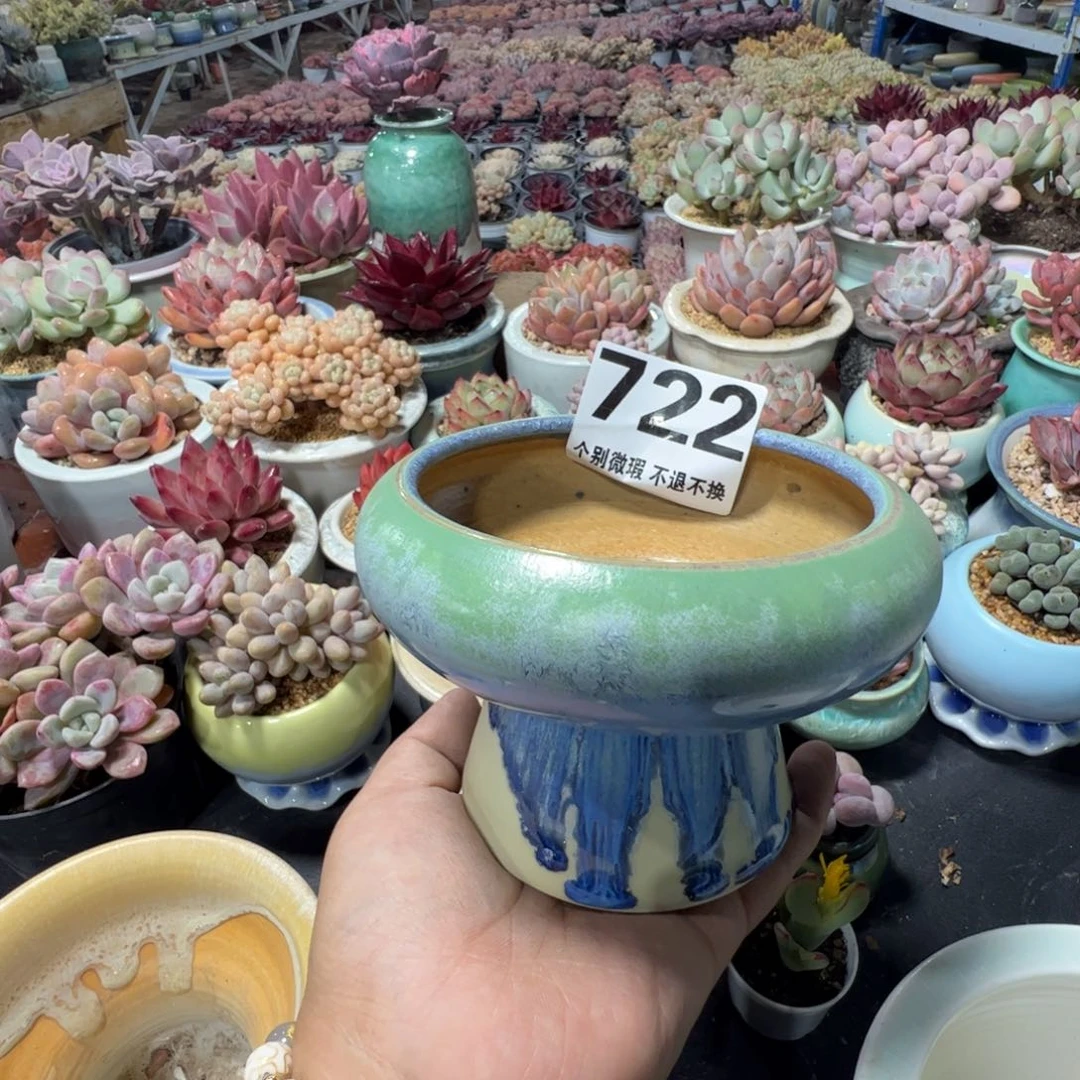 特价花盆满50发货内口10