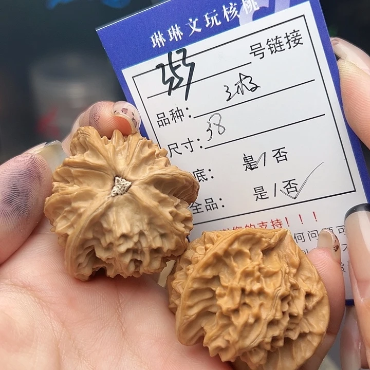 文玩核桃吊坠核桃树353