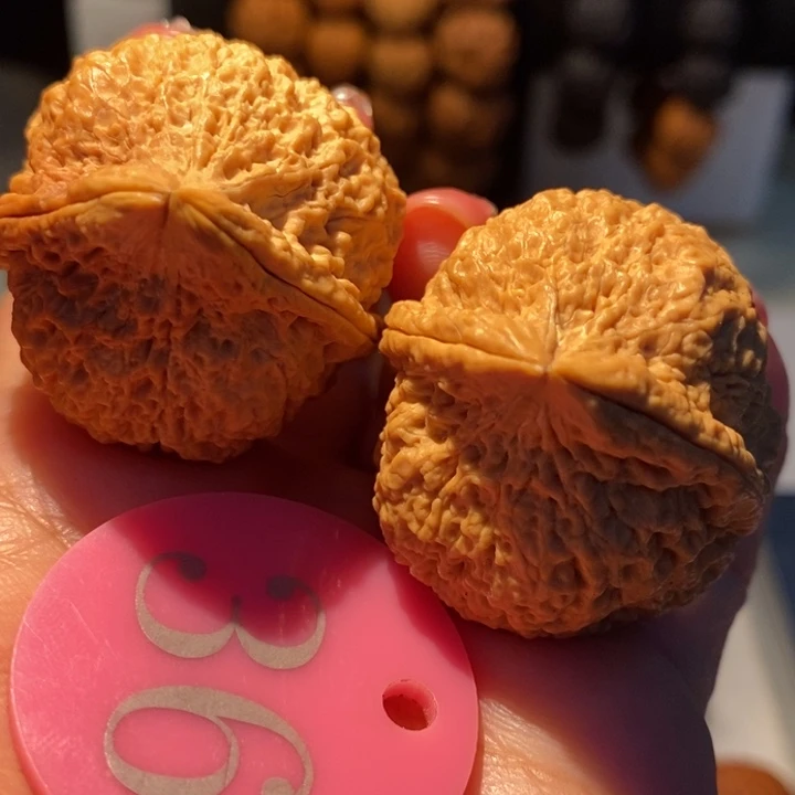 5号链接七彩铁南疆37尺寸